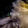 Birdie Game game icon