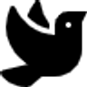 Birdle game icon