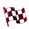 Flagdoku game icon