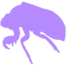 list animals until failure game icon