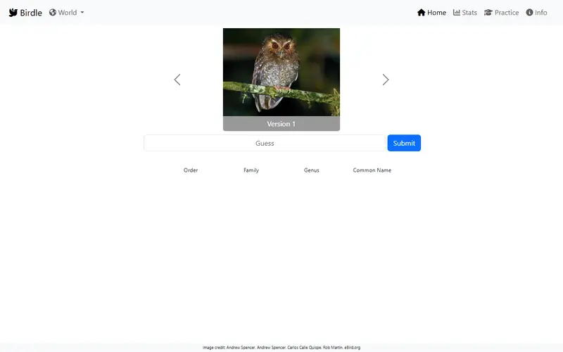 Birdle preview